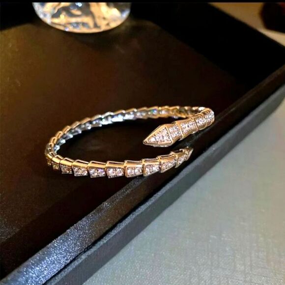 Snake design bracelet - Picture 1 of 4